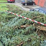 Písek sčítá škody po víkendové bouři. Poničila zeleň, komunikace i městský majetek