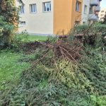 Písek sčítá škody po víkendové bouři. Poničila zeleň, komunikace i městský majetek