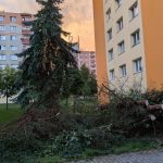 Písek sčítá škody po víkendové bouři. Poničila zeleň, komunikace i městský majetek