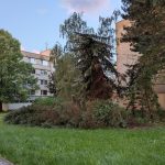 Písek sčítá škody po víkendové bouři. Poničila zeleň, komunikace i městský majetek