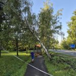 Písek sčítá škody po víkendové bouři. Poničila zeleň, komunikace i městský majetek