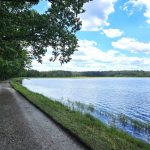 Od břehů Svobodného rybníky zmizely dva tisíce borovic. Do nevšední lokality se konečně vrací slunce