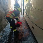 Pod viaduktem u Dolního Dvořiště se zasekl autobus s cizinci. Zranili se čtyři lidé