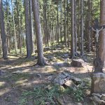 VÝLETY: Za hranici kraje – z Kašperek okruhem přes Opolenec, Sedlo a Pustý hrádek