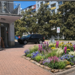 Budějovice zkrásní, přibydou nové trvalkové záhony