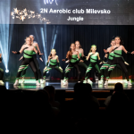 Stříbro v Lucerně a TOP3 v celostátním seriálu! Aerobičky z Milevska zakončily sezonu řadou skvělých výsledků