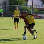 V úvodní prověrce proti Sepekovu fotbalisté Dražic gólově strádali