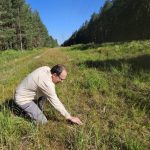 Pod elektrickými dráty vzniká nová jihočeská příroda. Daří se v ní i ohroženým druhům