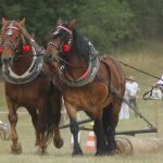 Memoriál bratří Machů v Nihošovicích přidal další ročník