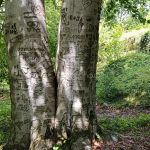 Zapomenutý strážce Zlaté stezky ukrývá nečekaný příběh