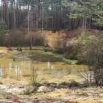 Dobrovolníci a dary pomáhají chránit vzácná stanoviště v jihočeských pískovnách
