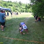 VIDEO: Sudoměřický triatlon přišel s novinkou v podobě štafet. Hlavní závod vyhrál Jan Havránek