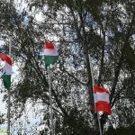 VIDEA: Jakub Mařík ovládl Evropský pohár juniorů v triatlonu. Edita Pozlerová skončila v Táboře těsně za elitní trojkou