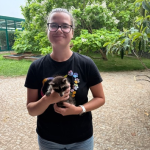 Táborská zoo pokračuje v záchraně mývalů, tento týden přijala mládě z Děčínska