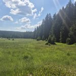 VÝLETY: Víkendový přechod z Borové Lady do Nových Hutí