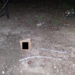 VIDEO: Sebevrah si kolem krku utáhl stahovací pásku. Policisté ji uřízli, když začal upadat do bezvědomí