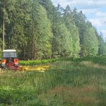 Pod elektrickými dráty vzniká nová jihočeská příroda. Daří se v ní i ohroženým druhům