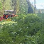 Pod elektrickými dráty vzniká nová jihočeská příroda. Daří se v ní i ohroženým druhům