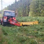Pod elektrickými dráty vzniká nová jihočeská příroda. Daří se v ní i ohroženým druhům