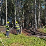 Hasiči zlikvidovali požár v Národním parku Šumava. U požářiště je nelegální ohniště