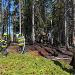 Hasiči zlikvidovali požár v Národním parku Šumava. U požářiště je nelegální ohniště