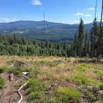 Hasiči zlikvidovali požár v Národním parku Šumava. U požářiště je nelegální ohniště