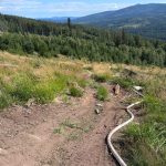 Hasiči zlikvidovali požár v Národním parku Šumava. U požářiště je nelegální ohniště