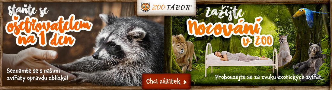 Úvod • Zpravodajský portál Jižní Čechy TEĎ! www.JcTEĎ.cz - Jižní Čechy Teď!