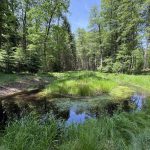 Odvodňovací příkopy nahradily v jihočeské krajině přírodní meandry