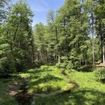 Odvodňovací příkopy nahradily v jihočeské krajině přírodní meandry