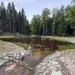 Odvodňovací příkopy nahradily v jihočeské krajině přírodní meandry