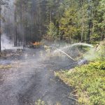 U Javornice na Prachaticku hoří pole a les. Požár lesa zaměstnává hasiče také u Olešnice