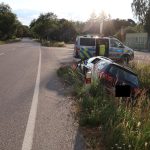 Na řidiče za jízdy naskákala sarančata, muž se lekl a havaroval