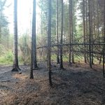 Sucho a lidská neopatrnost. Hasiče zaměstnávají požáry napříč krajem