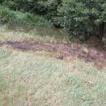 Sucho a lidská neopatrnost. Hasiče zaměstnávají požáry napříč krajem