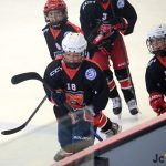 První letošní Bauer Cup U11 opanovali mladíci ze Sparty. Sen o obhajobě Liberce skončil v semifinále