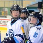 Hokej: V Milevsku dnes vrcholí atraktivní Bauer Cup
