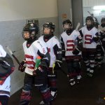 První letošní Bauer Cup U11 opanovali mladíci ze Sparty. Sen o obhajobě Liberce skončil v semifinále