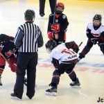 První letošní Bauer Cup U11 opanovali mladíci ze Sparty. Sen o obhajobě Liberce skončil v semifinále