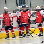 Hokej: V Milevsku dnes vrcholí atraktivní Bauer Cup