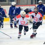 Hokej: V Milevsku dnes vrcholí atraktivní Bauer Cup