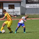 Dva zápasy, dvě vysoké výhry. Strakoničtí žáci smetli Planou