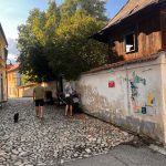Glosa: Jaké byly letošní Táborské dvorky?