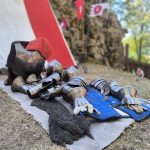 Video: Hrad Choustník ovládl středověk. Zříceninu dobyly stovky návštěvníků