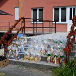 VIDEO: Někteří odvážlivci absolvovali na Krosovém běhu v Plané nad Lužnicí oba závody. Zápolení u řeky Lužnice přilákalo přes šedesát sportovních nadšenců