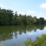 VIDEO: Někteří odvážlivci absolvovali na Krosovém běhu v Plané nad Lužnicí oba závody. Zápolení u řeky Lužnice přilákalo přes šedesát sportovních nadšenců