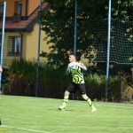 VIDEO: Meteor znovu doma rozstřílel soupeře pěti brankami. Petr Lachout připsal proti neefektivním Mirovicím hattrick