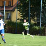 VIDEO: Meteor znovu doma rozstřílel soupeře pěti brankami. Petr Lachout připsal proti neefektivním Mirovicím hattrick