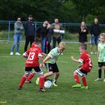 VIDEO: Táborsko ovládlo turnaj mladších přípravek O pohár starosty města Chýnov. Domácí družstvo se poměřilo s kvalitou z celé republiky