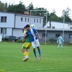 VIDEO: Plánský Sokol doma opět neinkasoval. Druhou výhru v sezoně obstarali Trčka s Novotným